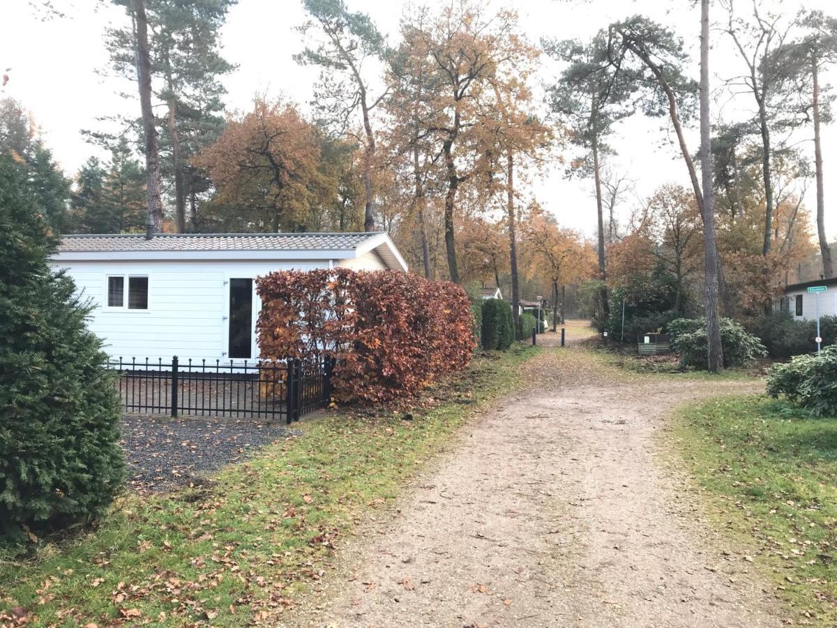 Chalet Bosrand 42 Park Veluwshof 6 P Hoenderloo Esterno foto