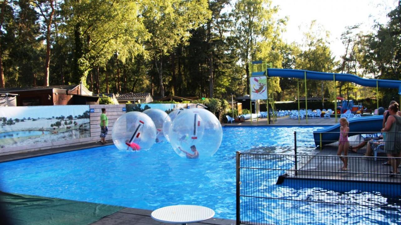 Chalet Bosrand 42 Park Veluwshof 6 P Hoenderloo Esterno foto